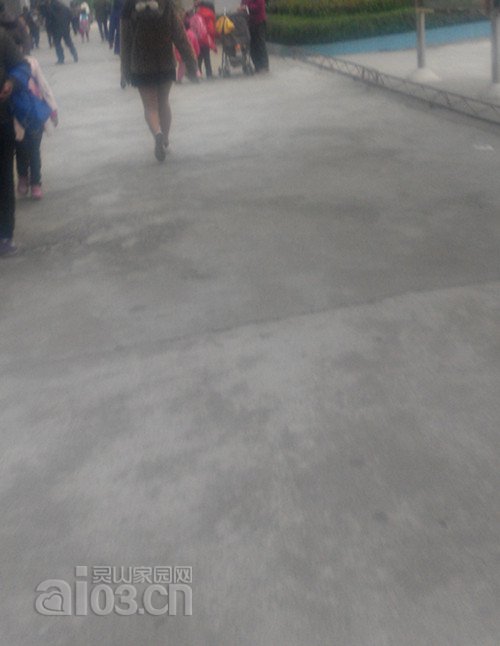 QQ图片20151208123953_副本.jpg