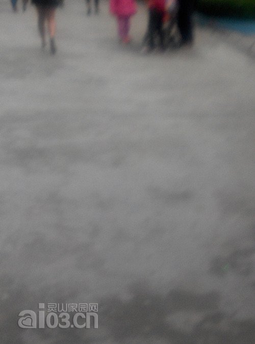 QQ图片20151208124007_副本.jpg
