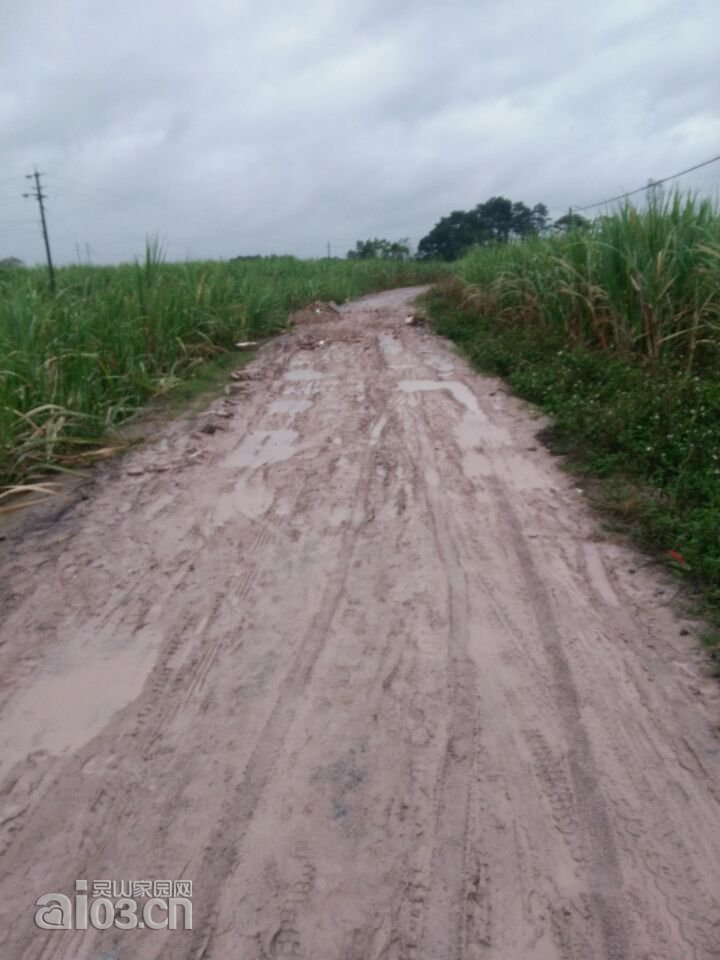 小雨的水泥路