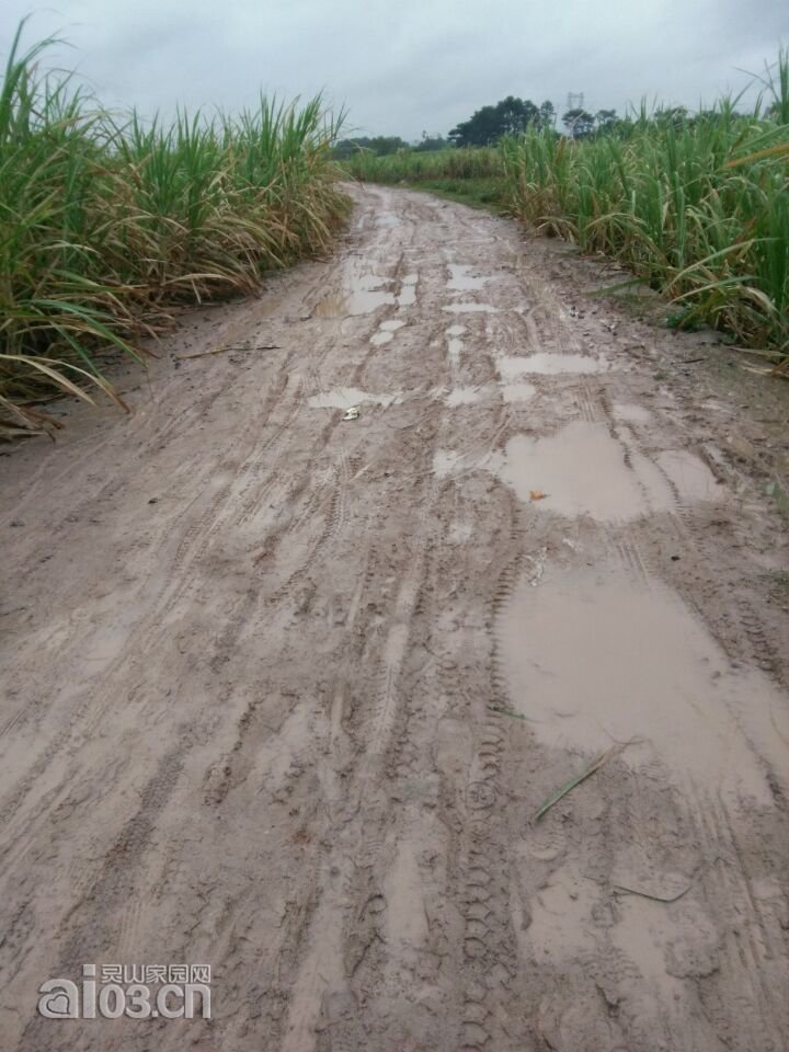 小雨的水泥路