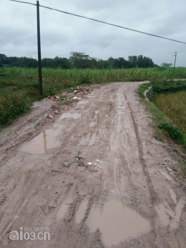小雨的水泥路