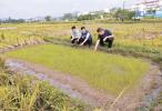 科技纾困助农 精准施策复产