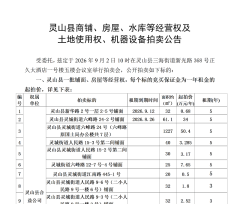 灵山县商铺、房屋、水库等经营权及 土地使用权、机器设备拍卖公告