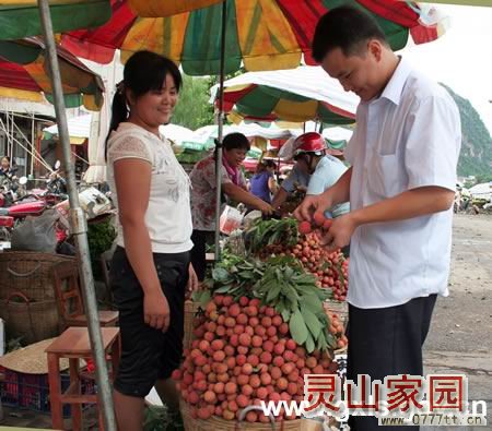 “你尝，正宗灵山白糖罂，保证清甜蜜香”