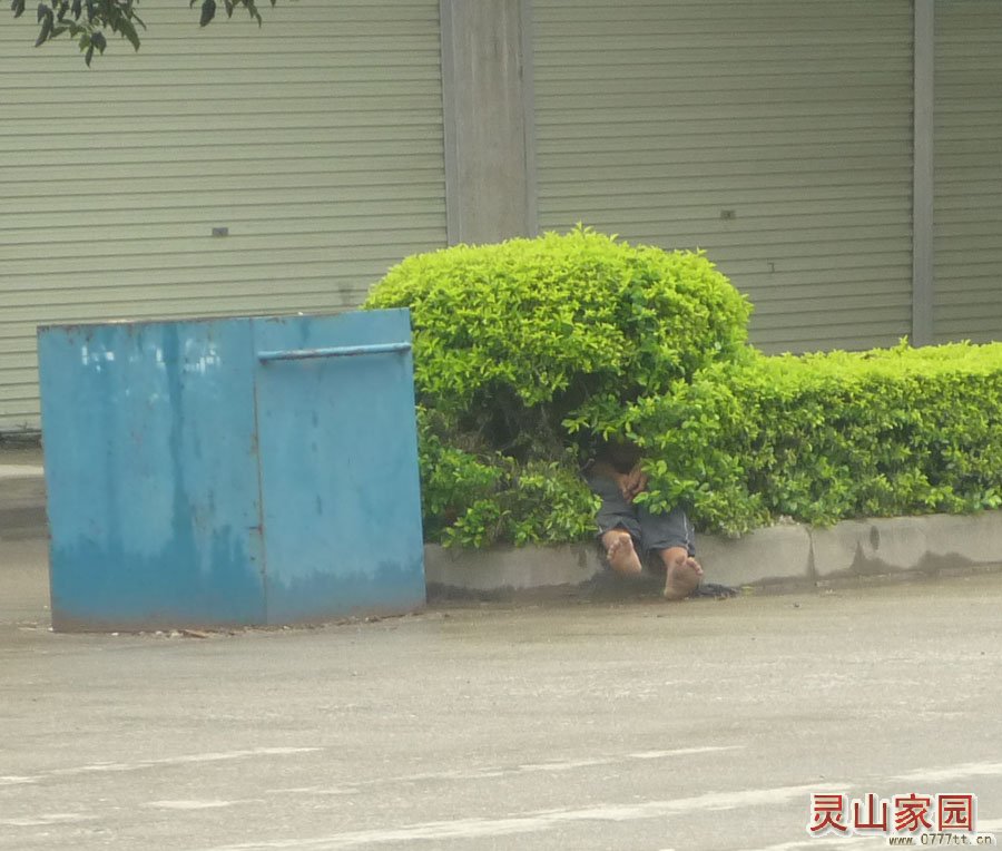 落大雨走去投雨