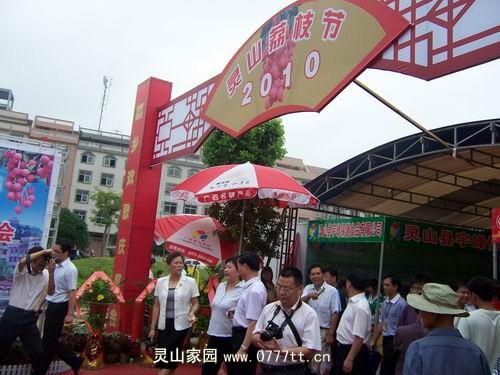 领导参观展销会