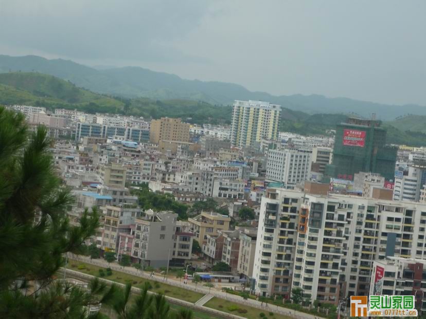 看到这两栋最高的一栋是荔香城 另一栋未完工的是中医院新建大楼