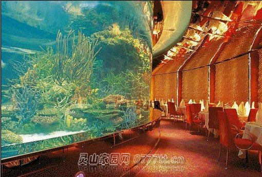 海底餐厅2.jpg
