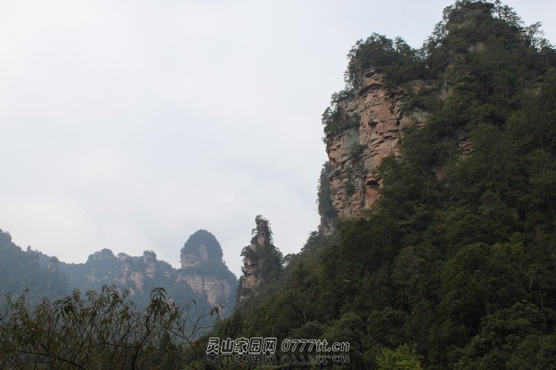 IMG_9353_缩小大小.JPG