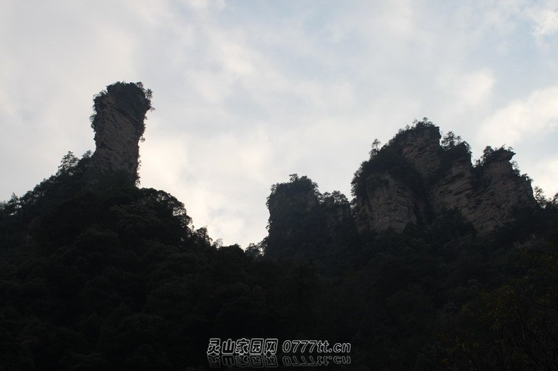 IMG_9582_缩小大小.JPG