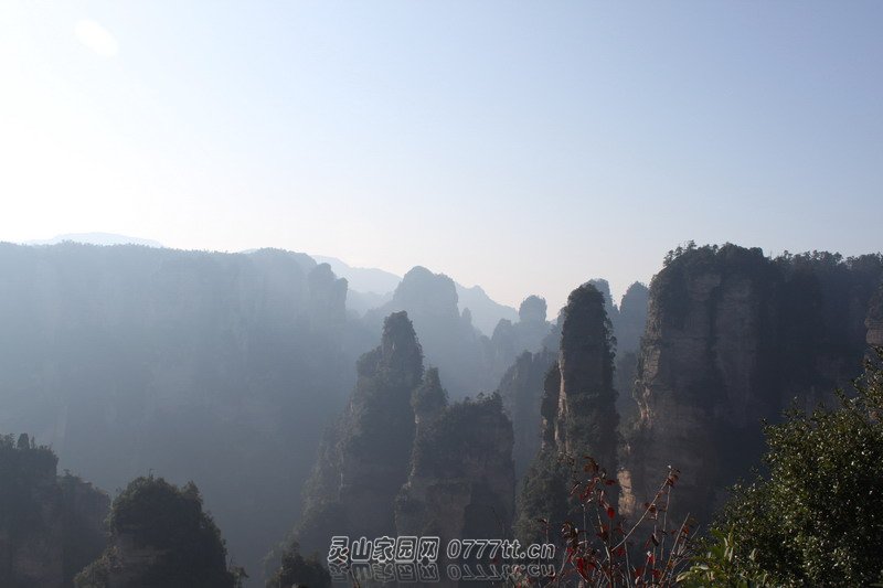 IMG_9640_缩小大小.JPG