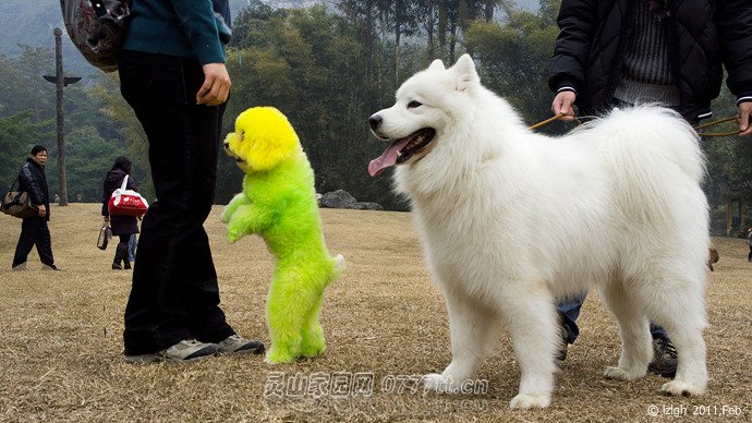 盛装打扮增添了节日的热烈气氛