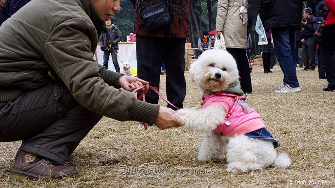 与媒体见面的标准POSE