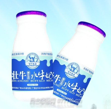 壮牛瓶装奶3-3.5/瓶