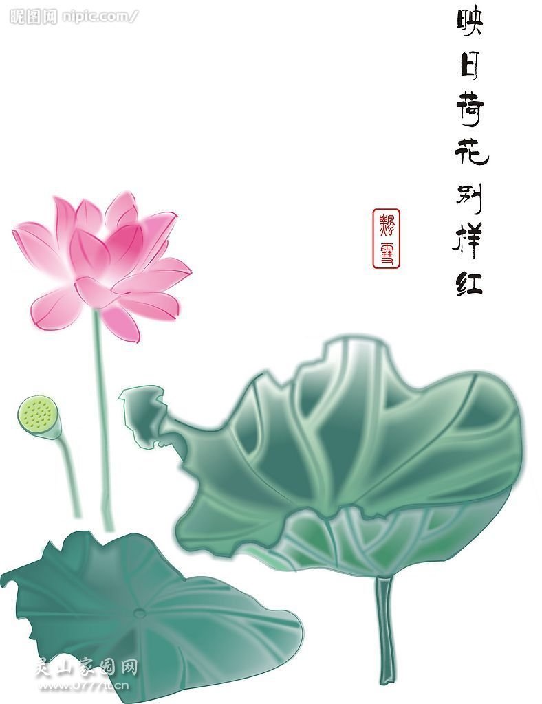 工笔画荷花d5f89b28d83b645e1e30894d.jpg