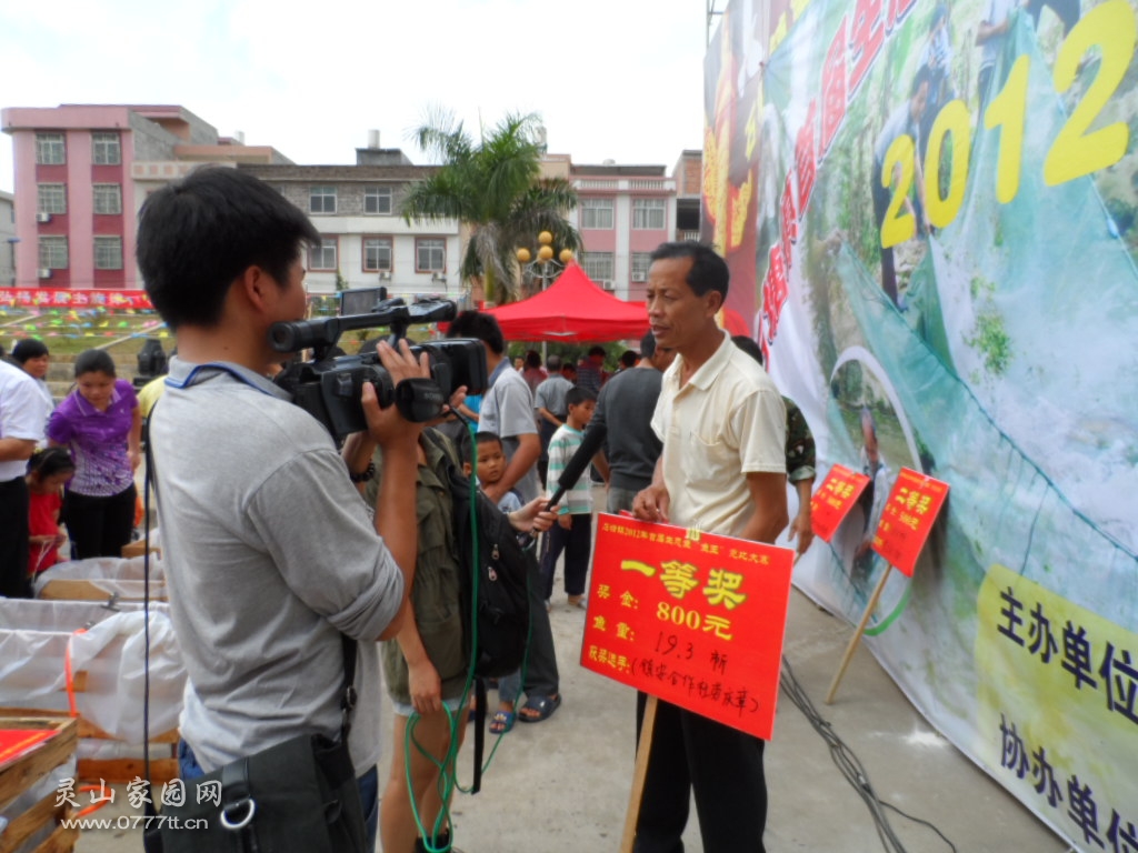 鱼王主人接受ＴＶ采访