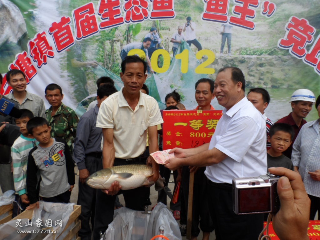 有位老板当场奖励鱼王主任１千，这条鱼还没卖出去连奖金就带来了１千８的收入