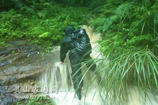 消防官兵冒雨上山搜救