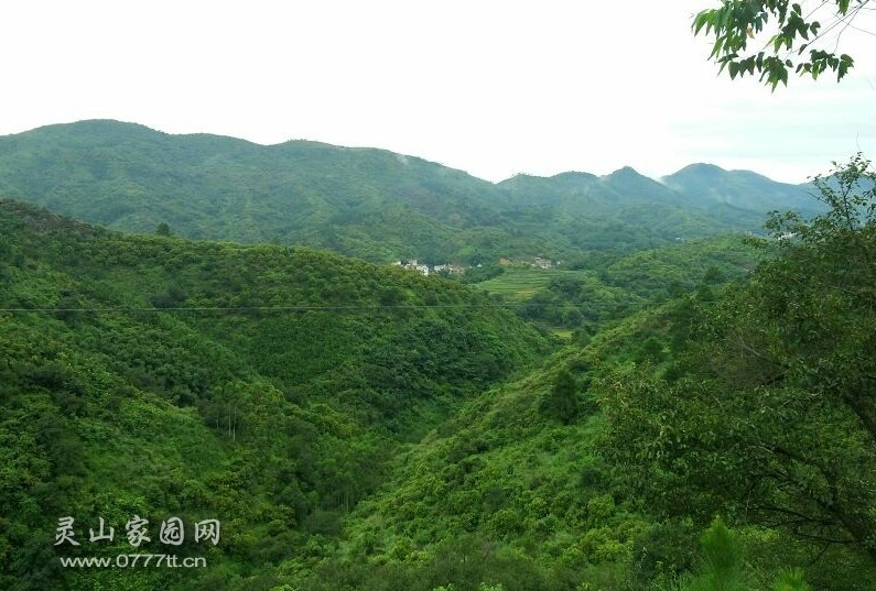 原来的风景多美