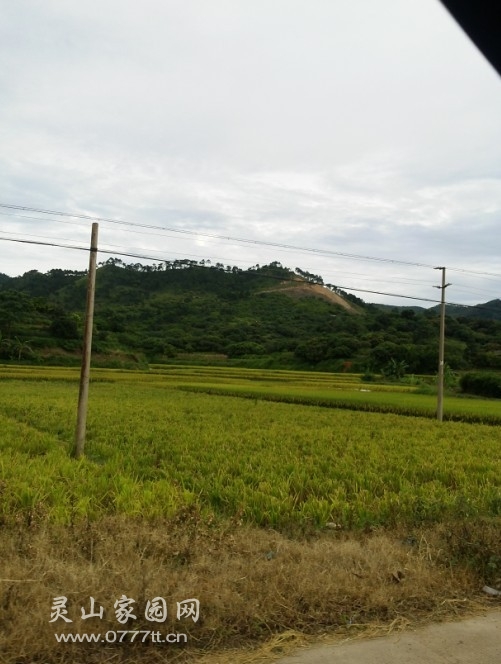 20130716_163413.jpg