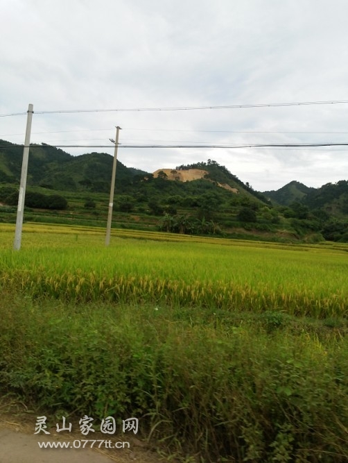 20130716_163418.jpg