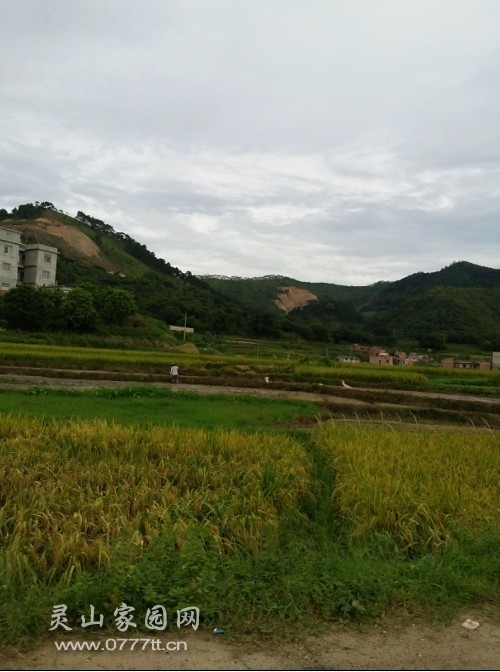 满目疮痍