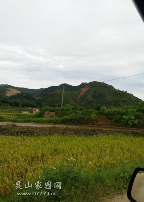 20130716_163503.jpg