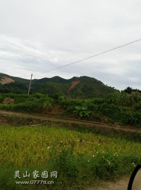 20130716_163504.jpg