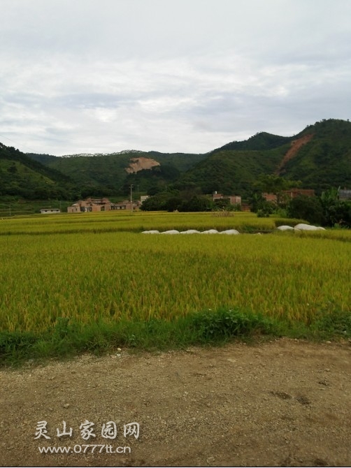 20130716_163528.jpg