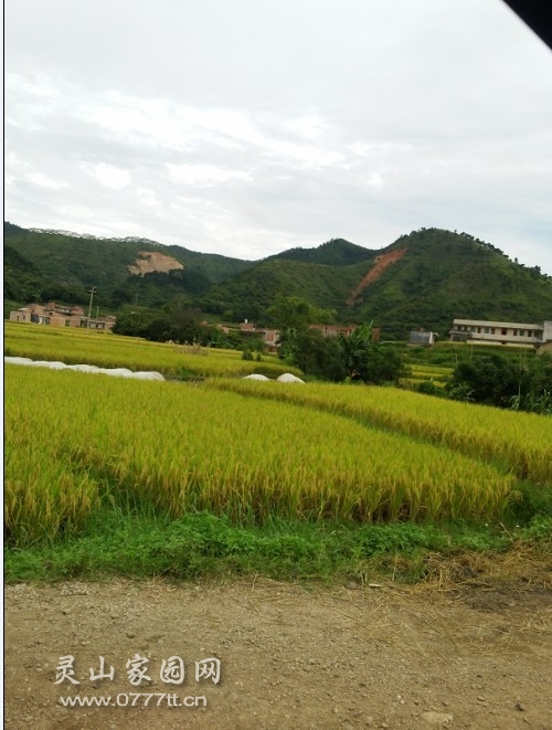 20130716_163533.jpg