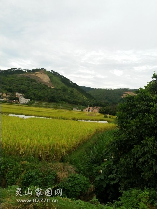 20130716_163539.jpg