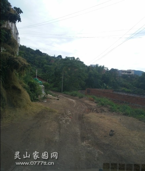 路不知道怎么走