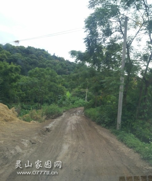 如果可以飞过去就好了