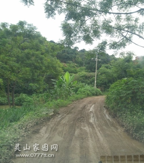 20130716_163809.jpg