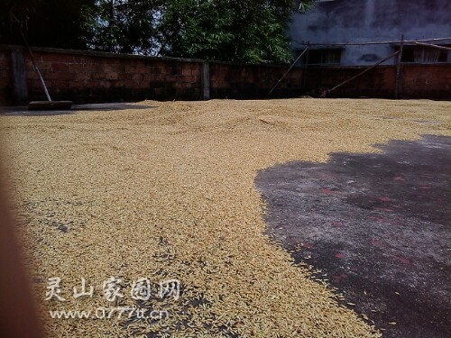 IMG20130722135457.jpg