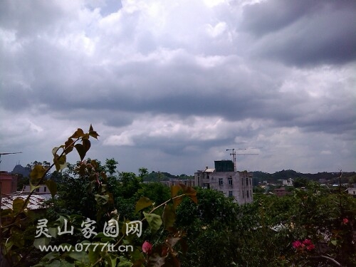 IMG20130722135512.jpg