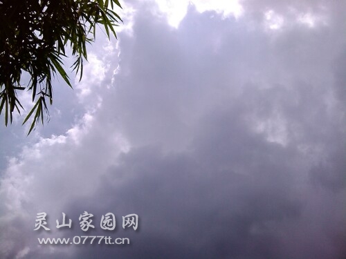 IMG20130722135525.jpg