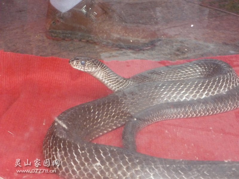 P1220583_副本.jpg