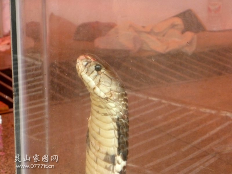 P1220593_副本.jpg