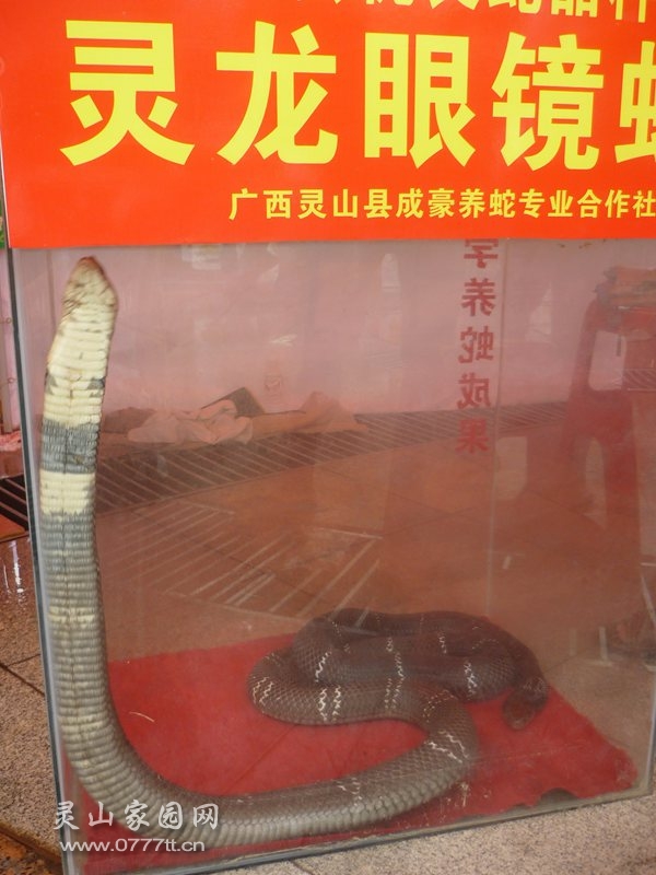 P1220595_副本.jpg