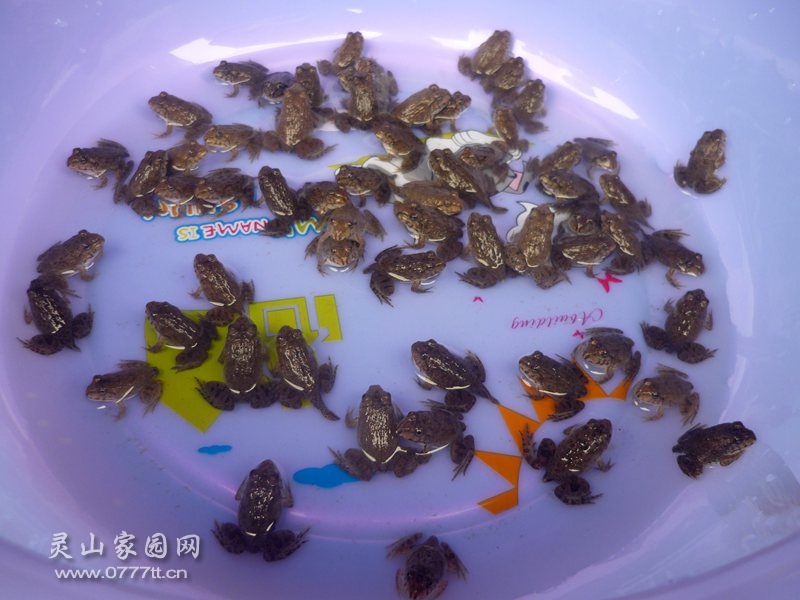 P1220606_副本.jpg