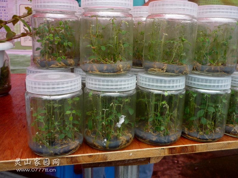 P1220608_副本.jpg