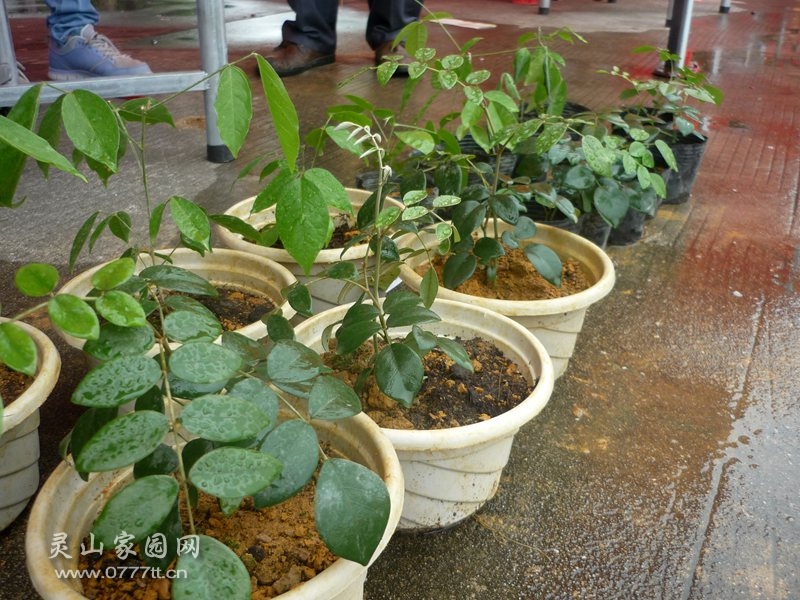 P1220609_副本.jpg