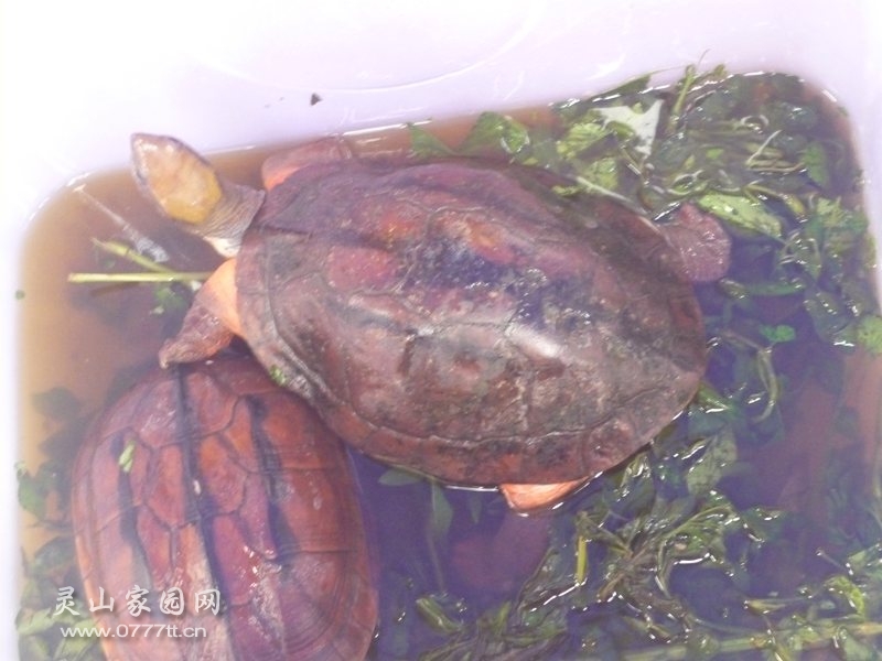 P1220617_副本.jpg