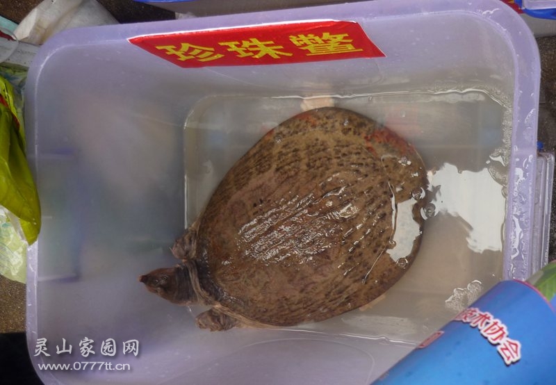 P1220625_副本.jpg