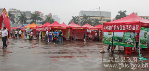 2013826172418548.jpg