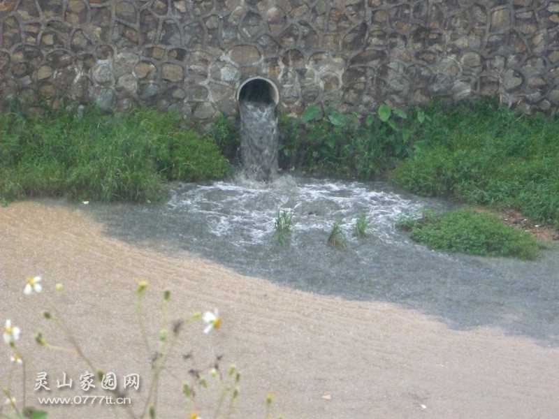 P1220705_副本.jpg