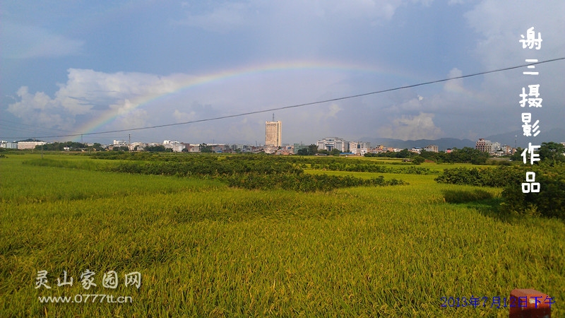 风雨见彩虹