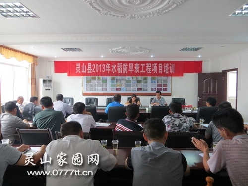 20130923164256135.jpg