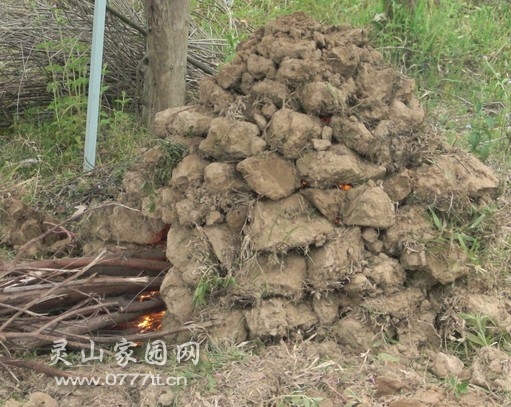 QQ图片20130928235547.jpg